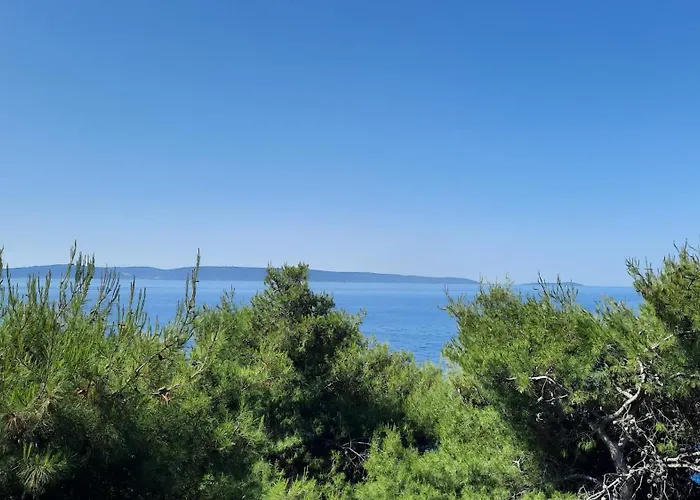 Maja Апартаменты *